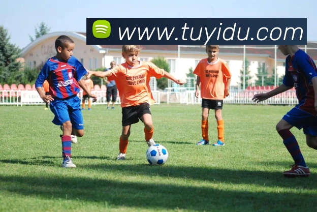 App Interface Preview